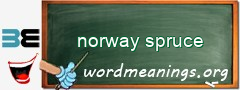WordMeaning blackboard for norway spruce